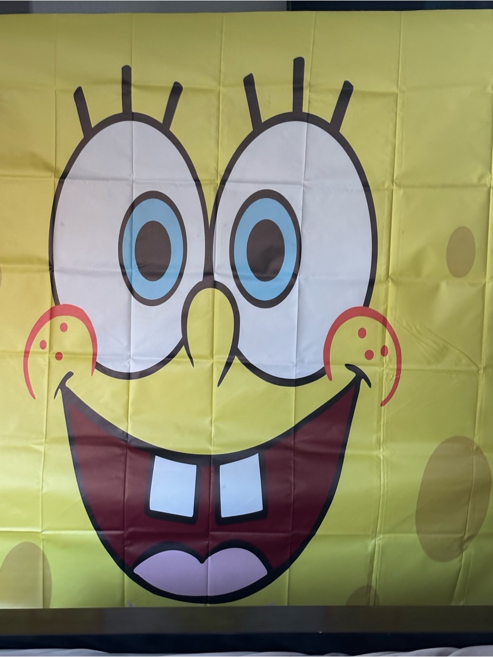 Spongebob Backdrop - Picture 4 of 8